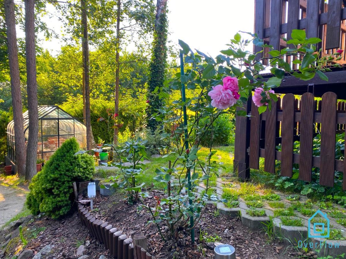 Holibobos Year Round Cottage In Kamien By The Lake Only 30 Minutes From Gdansk And Gdynia Luaran gambar